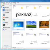 LiteManager Free 4.5.0 screenshot