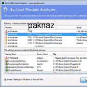 Svchost Process Analyzer 1.1 screenshot