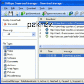 BitRope Download Manager 2.8.0 screenshot