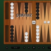 Backgammon Classic Pro 4.0 screenshot