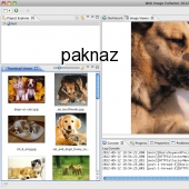 Web Image Collector 2013 For Mac 4.4 screenshot
