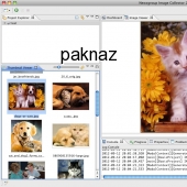 Newsgroup Image Collector 2013 for mac 4.4 screenshot