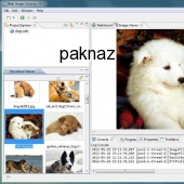 Web Image Collector 2013 4.4 screenshot